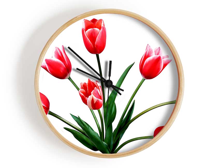 Red Pink Tulips Clock - Wallart-Direct UK