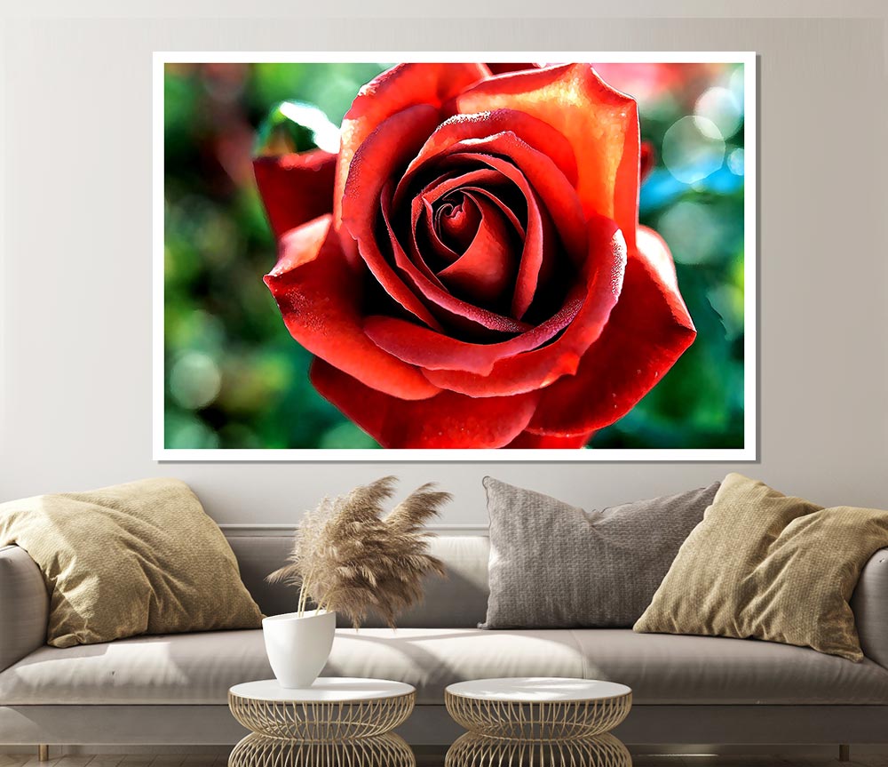 Beautiful Rose In The Garden Print Poster Wall Art