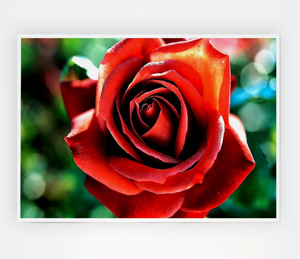 Beautiful Rose In The Garden Print Poster Wall Art