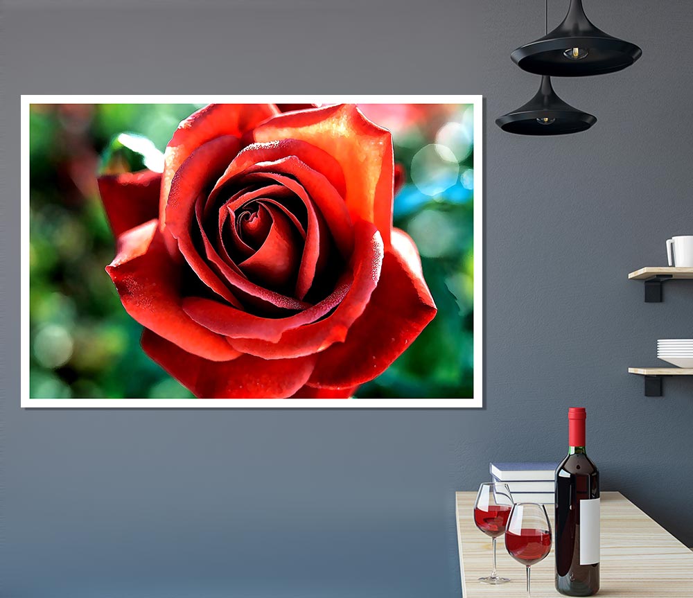 Beautiful Rose In The Garden Print Poster Wall Art