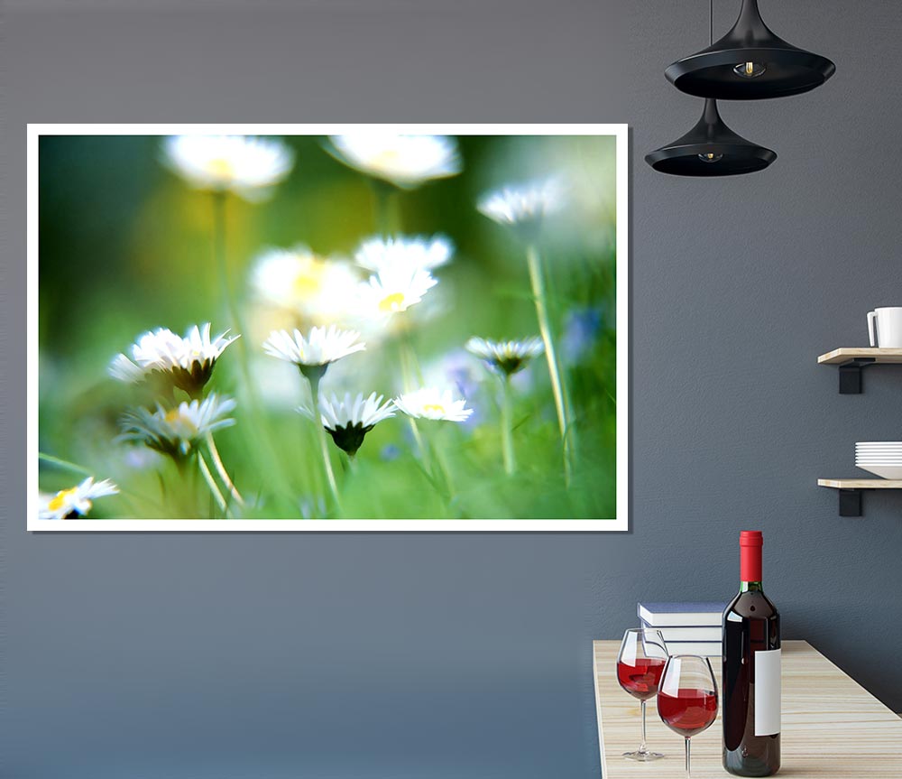 Blurry Daisies Print Poster Wall Art