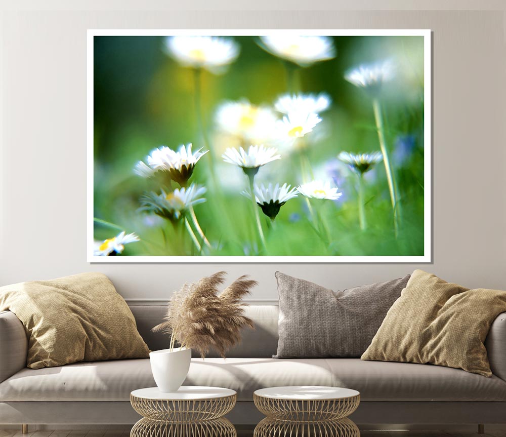 Blurry Daisies Print Poster Wall Art