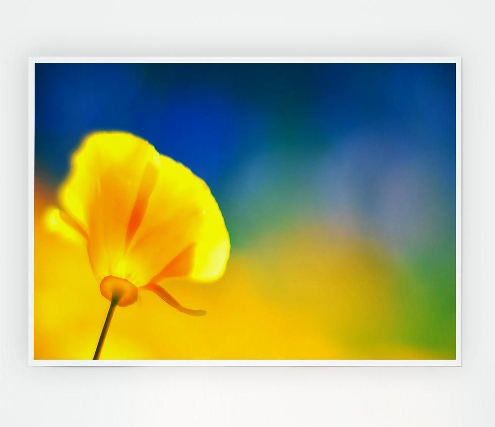 California Poppy Yellow Print Poster Wall Art