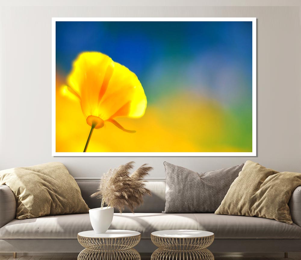 California Poppy Yellow Print Poster Wall Art