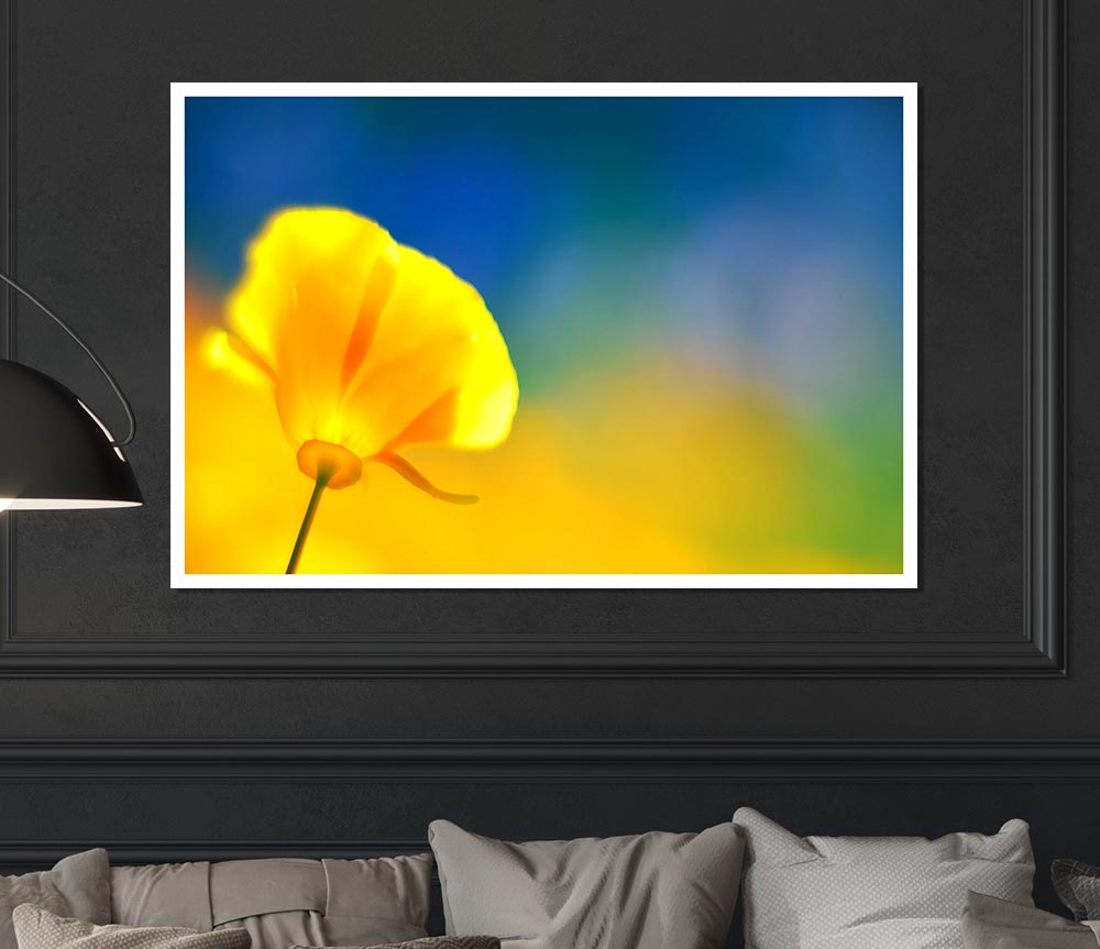 California Poppy Yellow Print Poster Wall Art