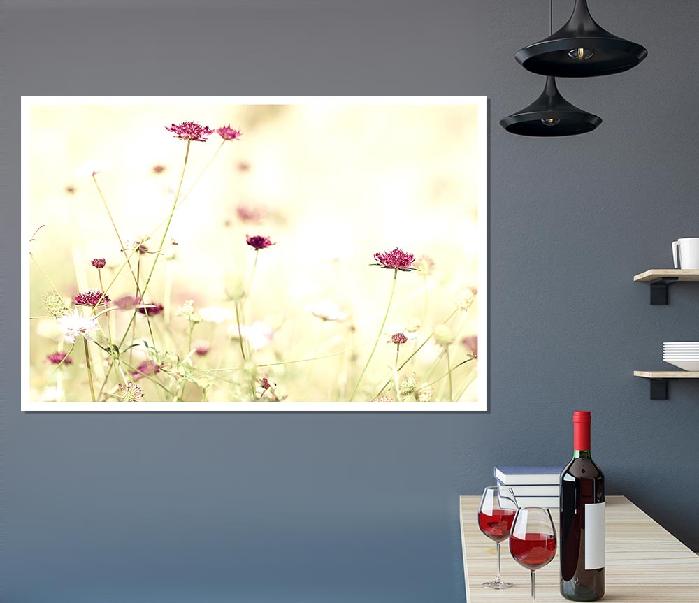 Wildflowers In Stunning Sunlight Print Poster Wall Art