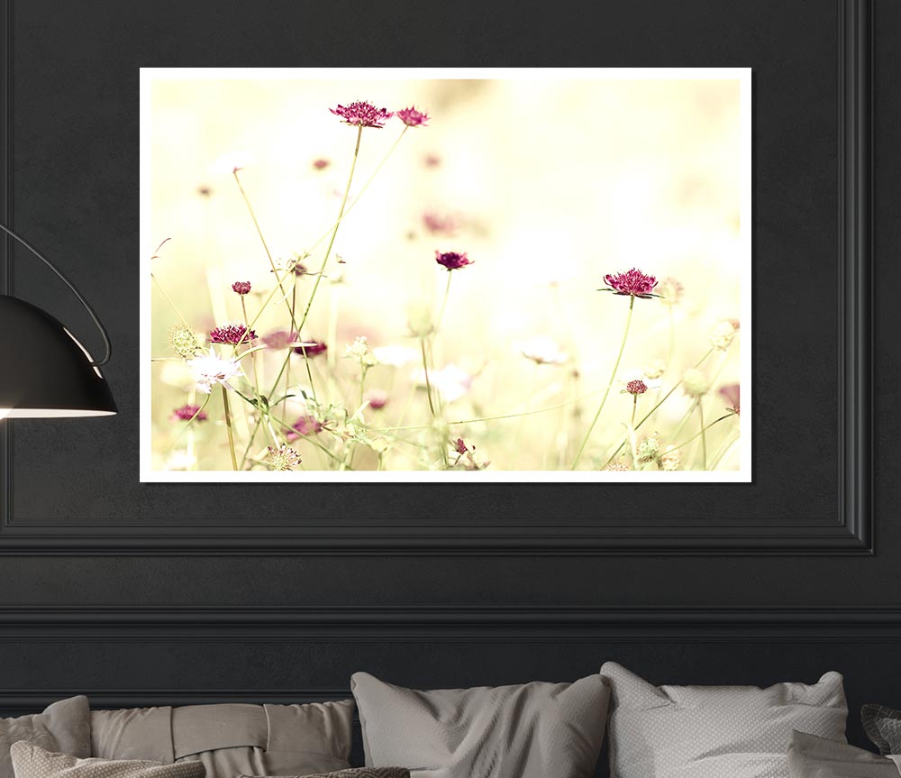 Wildflowers In Stunning Sunlight Print Poster Wall Art