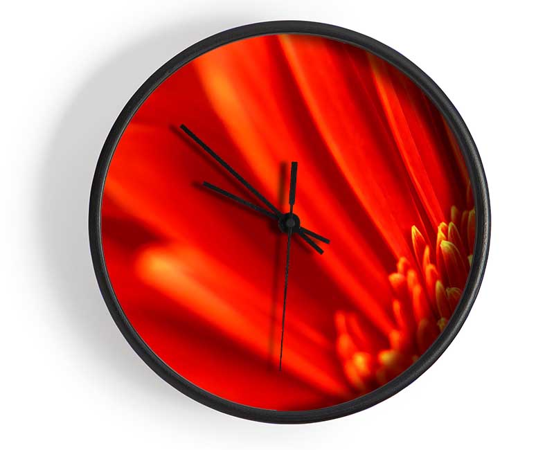 Red Orange Gerbera Petals Clock - Wallart-Direct UK