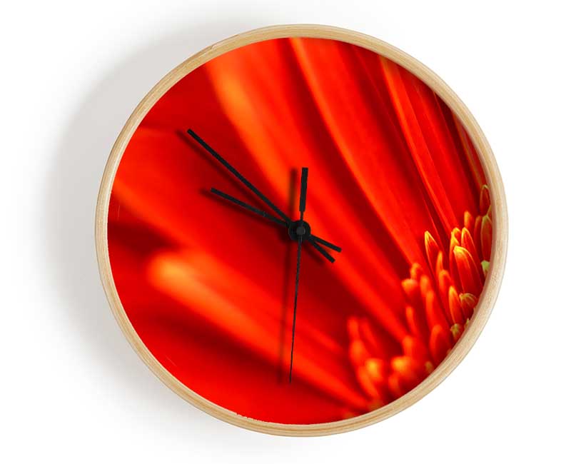 Red Orange Gerbera Petals Clock - Wallart-Direct UK