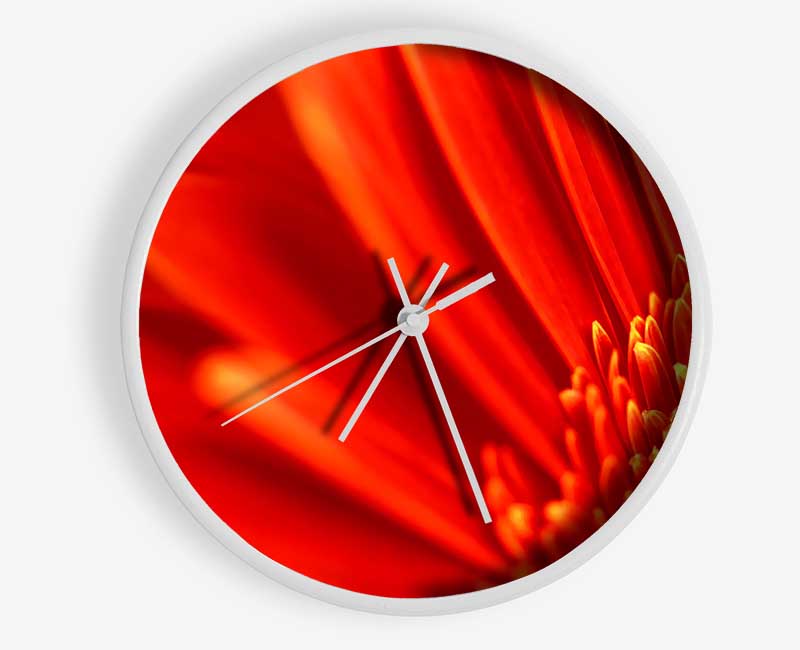 Red Orange Gerbera Petals Clock - Wallart-Direct UK