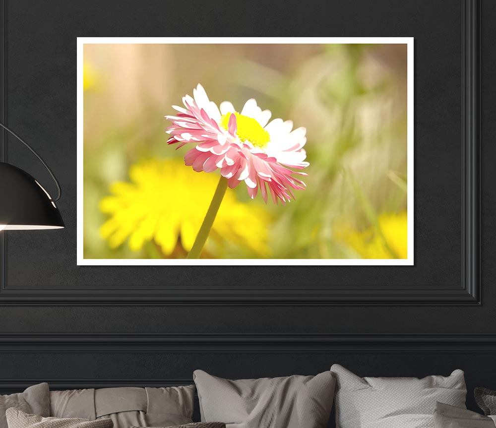 Beautiful Summer Pink Flower Print Poster Wall Art