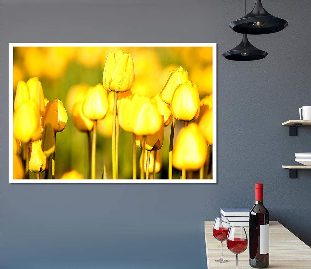 Yellow Tulips In The Garden Print Poster Wall Art