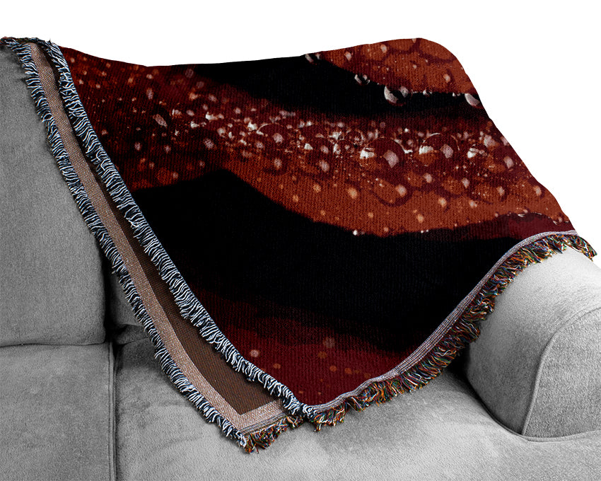 Velvety Rose With Dew Drops Woven Blanket