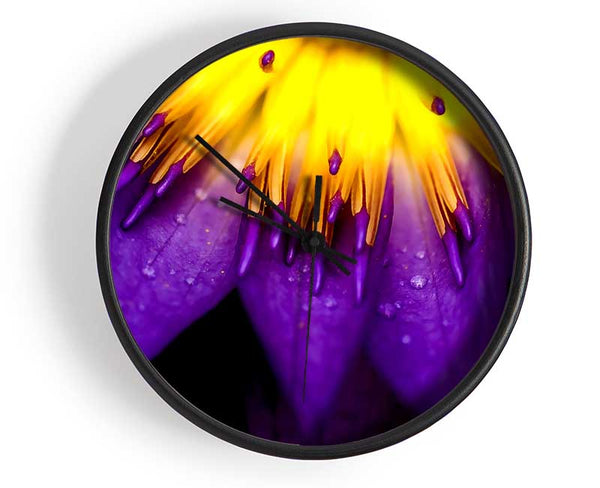 Water Lily Purple Yellow Clock - Wallart-Direct UK