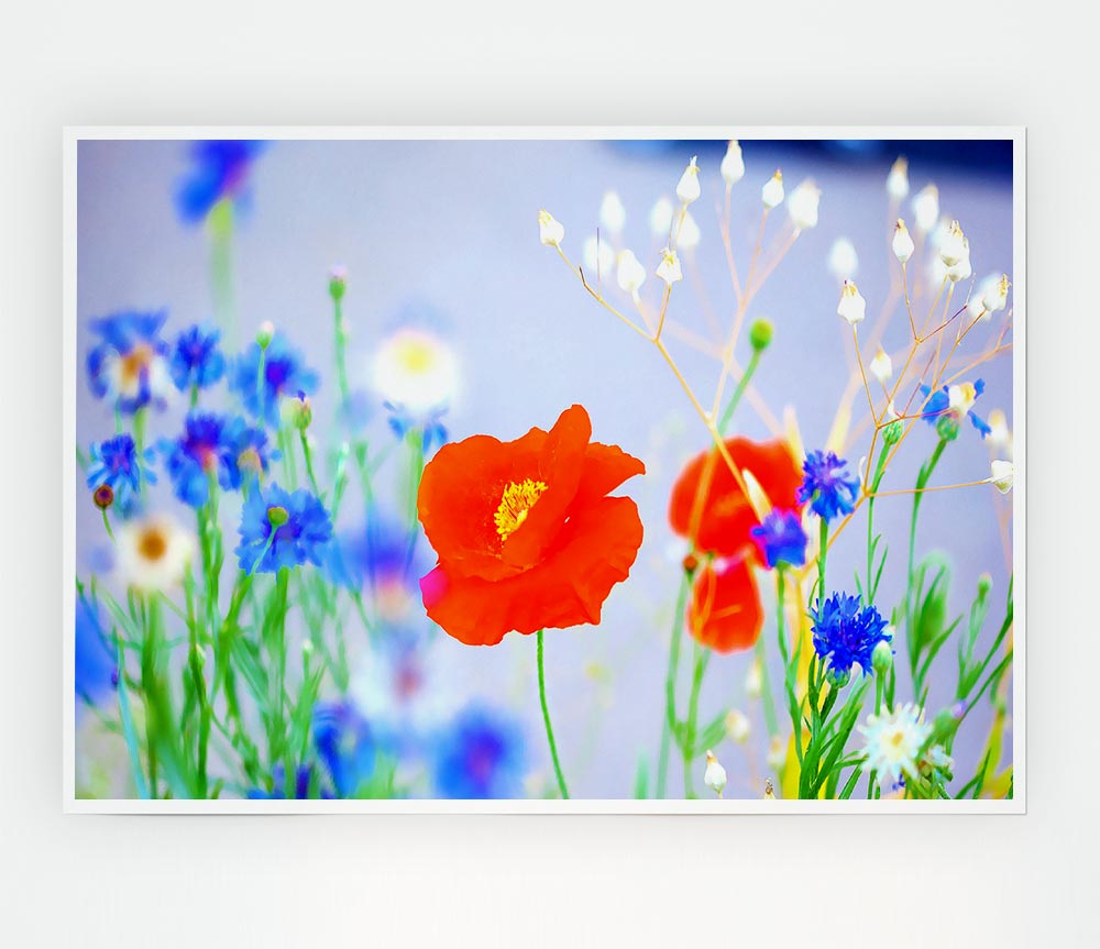 Lovely Poppy Garden Print Poster Wall Art