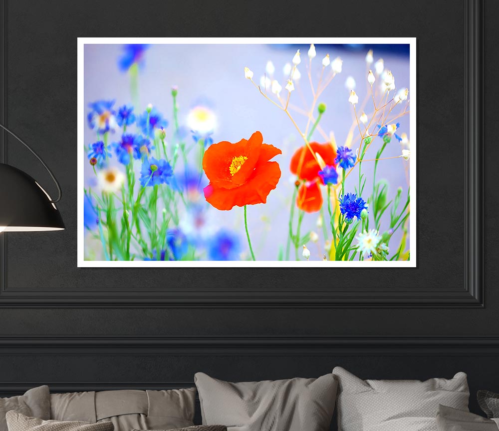 Lovely Poppy Garden Print Poster Wall Art