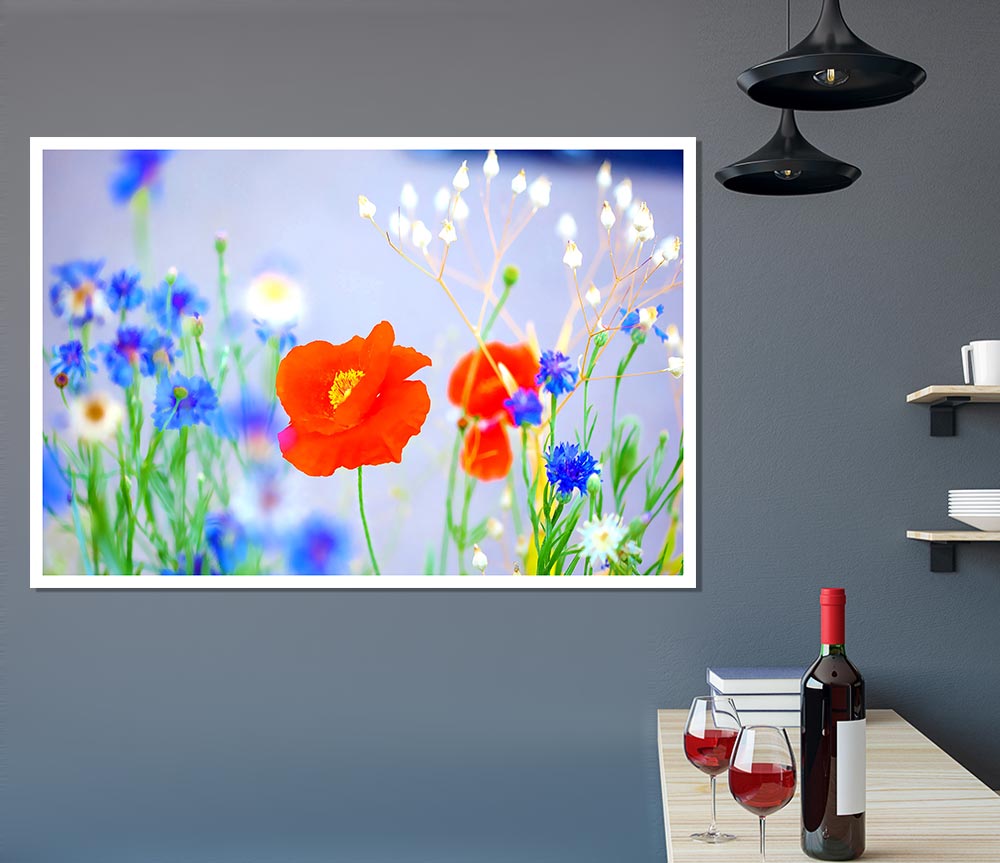 Lovely Poppy Garden Print Poster Wall Art