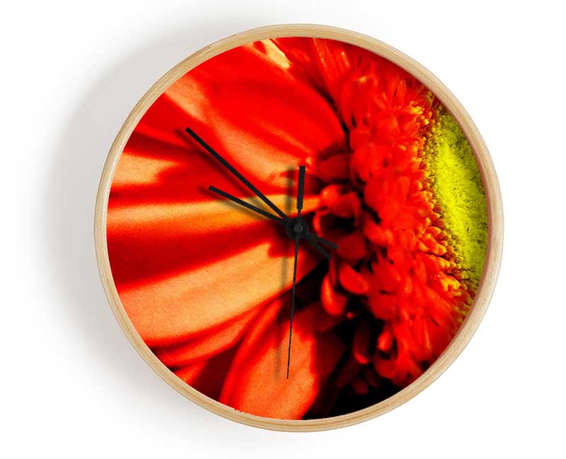 Close-up Of A Gerbera Clock - Wallart-Direct UK