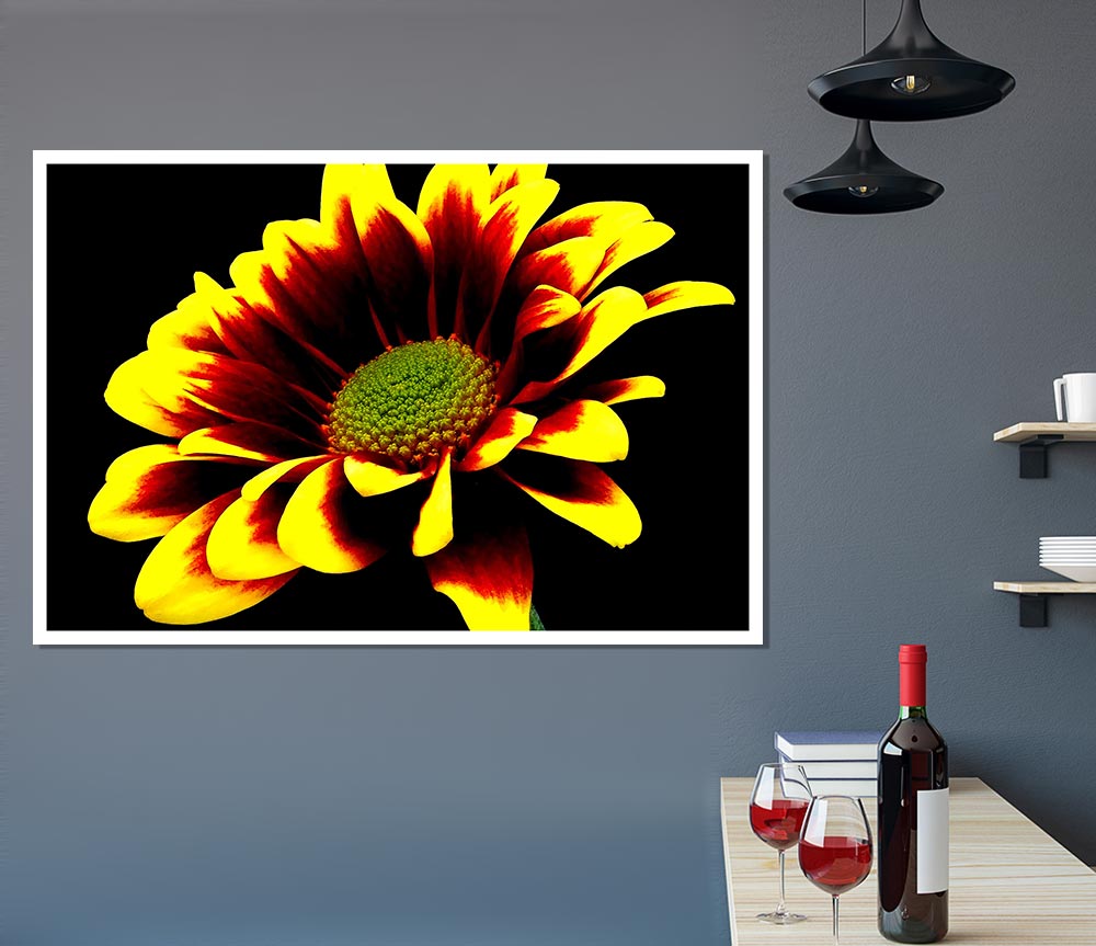 Flower On Black Background Print Poster Wall Art