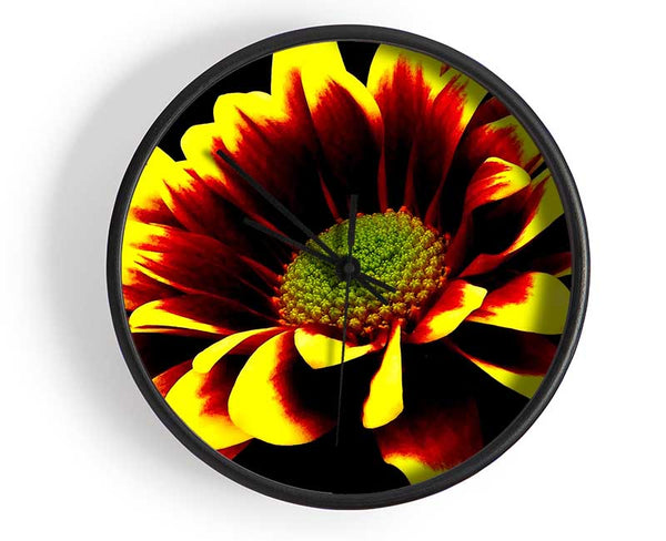 Flower On Black Background Clock - Wallart-Direct UK