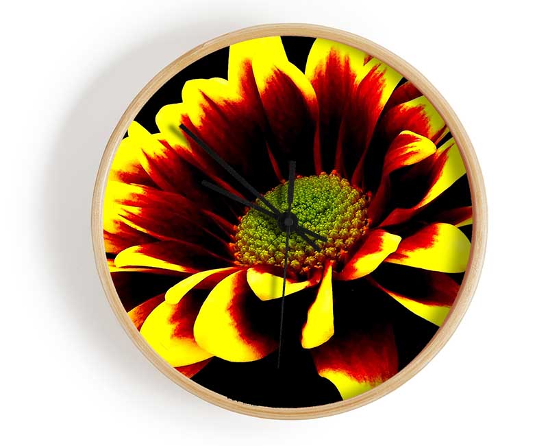 Flower On Black Background Clock - Wallart-Direct UK