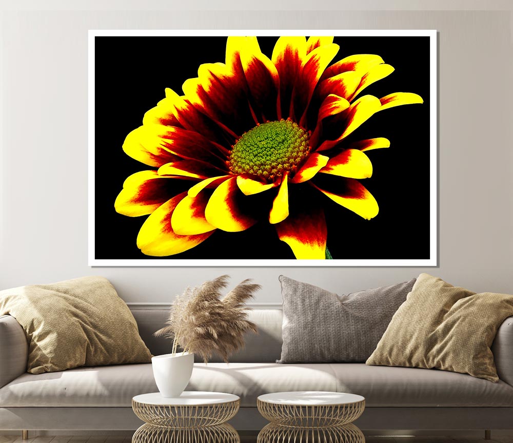 Flower On Black Background Print Poster Wall Art