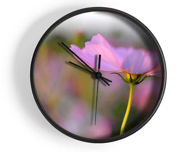 Another Side Of A Poppy Clock - Wallart-Direct UK