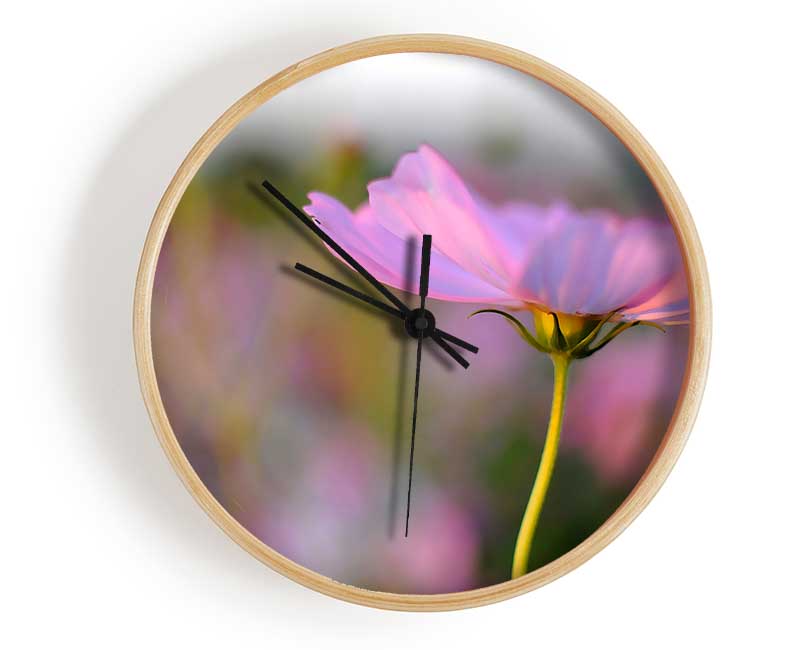 Another Side Of A Poppy Clock - Wallart-Direct UK