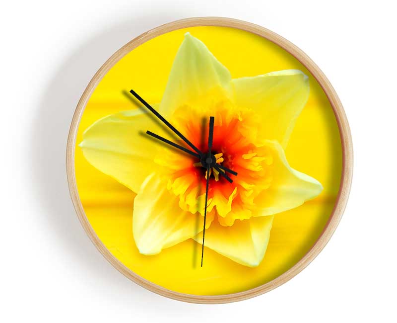 Daffodil Head Clock - Wallart-Direct UK