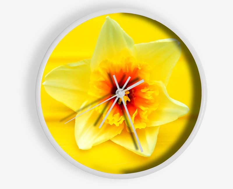 Daffodil Head Clock - Wallart-Direct UK