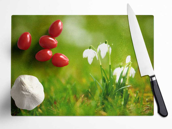 Cute Snowdrops Glass Chopping Board