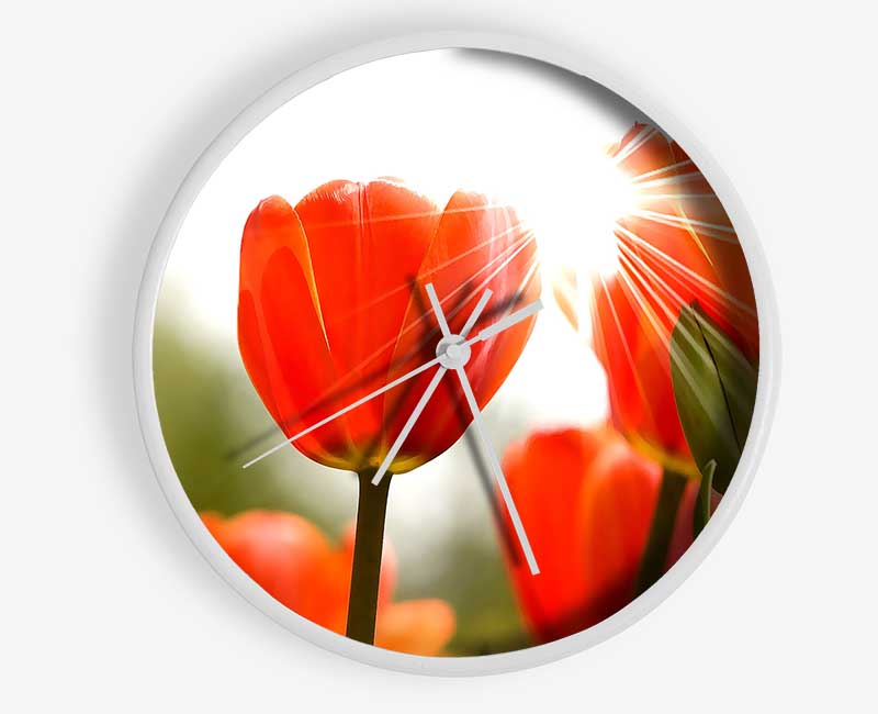 Orange Tulips Clock - Wallart-Direct UK