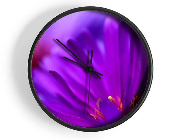 Purple Flower Petals Clock - Wallart-Direct UK