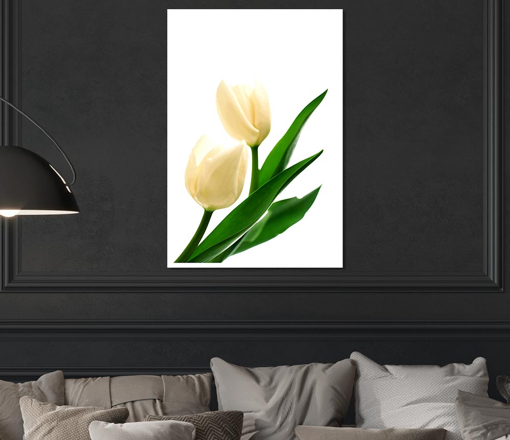 White Tulips Print Poster Wall Art