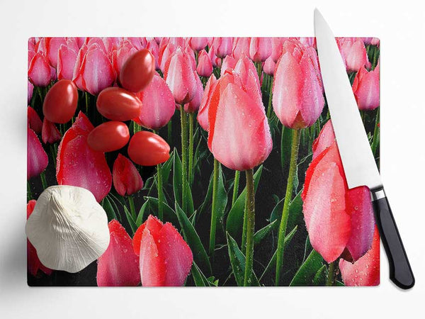 Pink Tulips Cultivation Glass Chopping Board