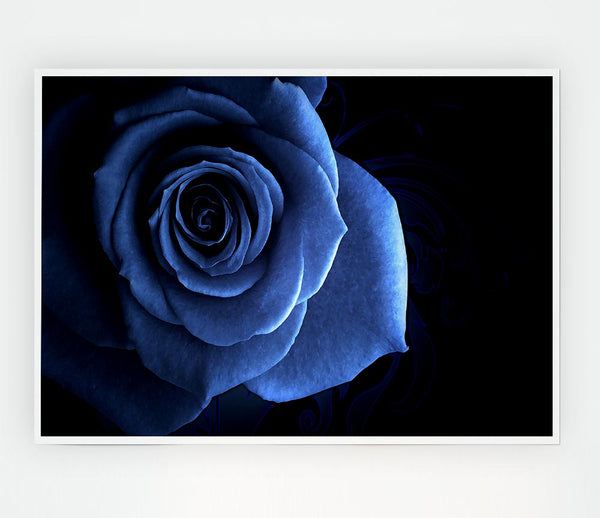 Blue Rose On Black Print Poster Wall Art