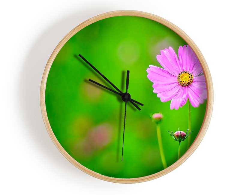 Pink Flower Green Background Clock - Wallart-Direct UK