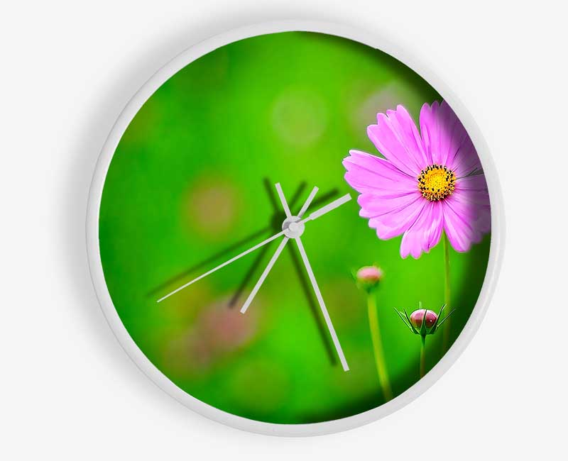 Pink Flower Green Background Clock - Wallart-Direct UK