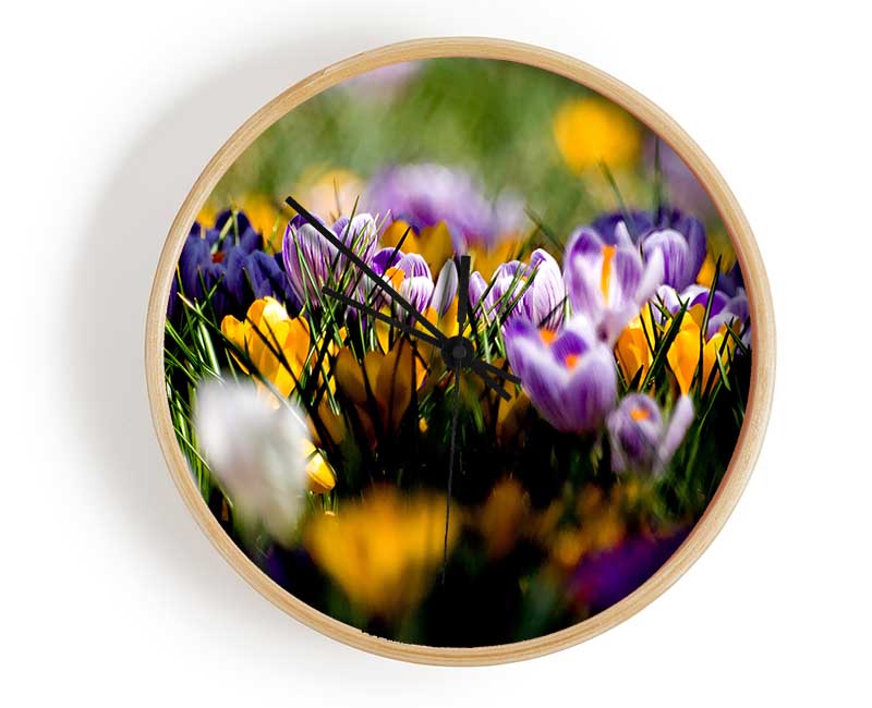 Crocus Field Clock - Wallart-Direct UK