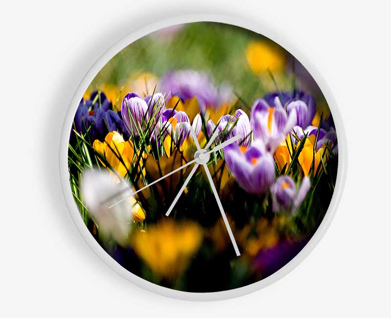 Crocus Field Clock - Wallart-Direct UK