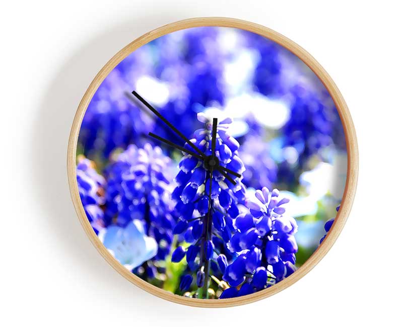 Grape Hyacinths Clock - Wallart-Direct UK