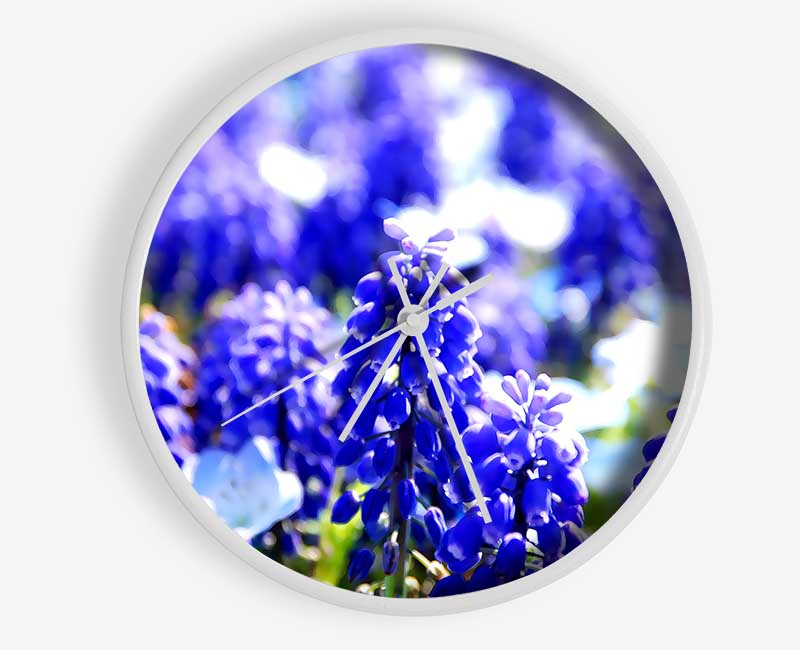 Grape Hyacinths Clock - Wallart-Direct UK