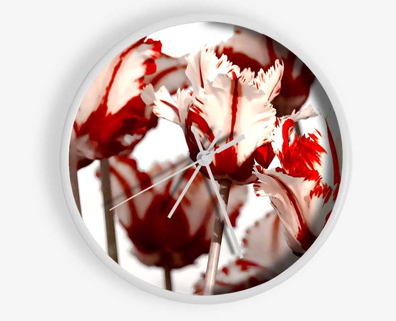 Parrot Tulips Red n White Clock - Wallart-Direct UK