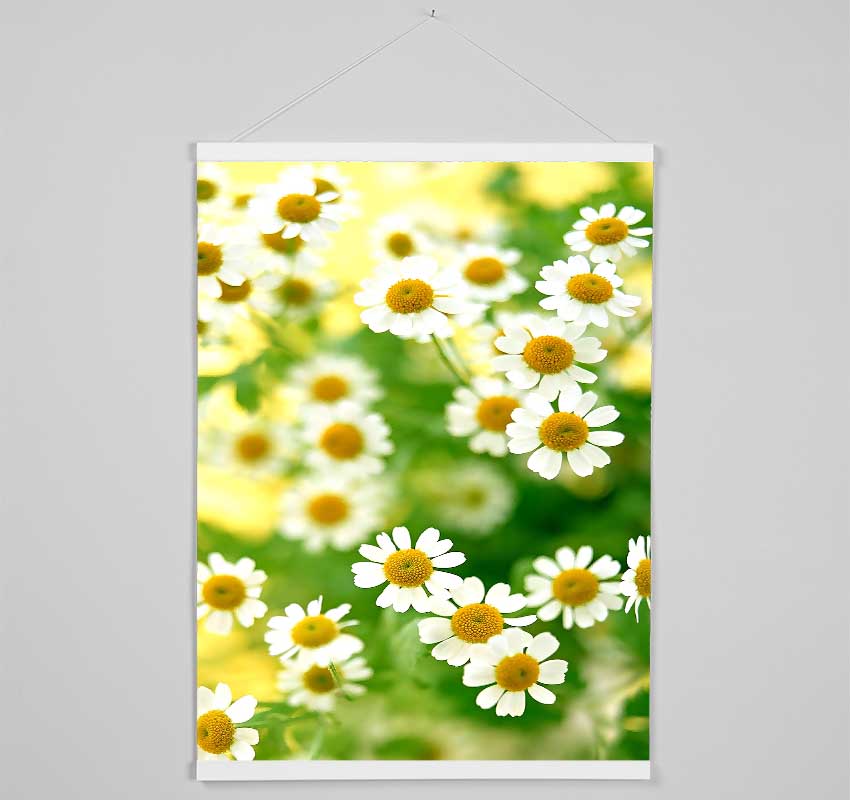 Chamomile Macro Hanging Poster - Wallart-Direct UK