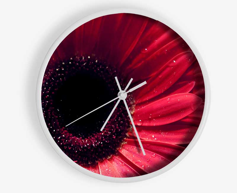 Gerbera Flower Deep Red Clock - Wallart-Direct UK