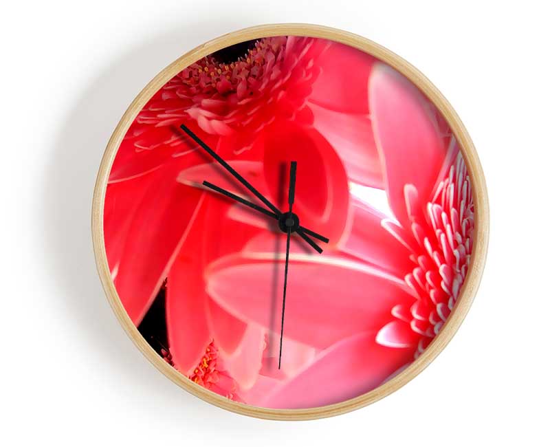 Pink Gerbera Flower Mayhem Clock - Wallart-Direct UK