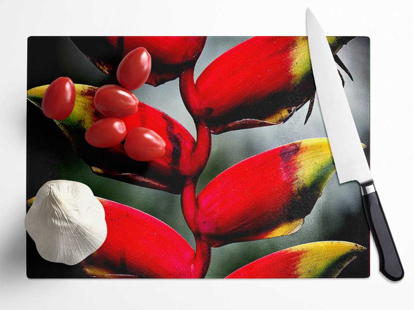 Heliconia Pendula Inflorescence Glass Chopping Board