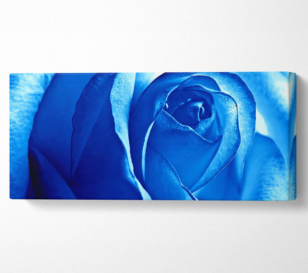 Blue Rose