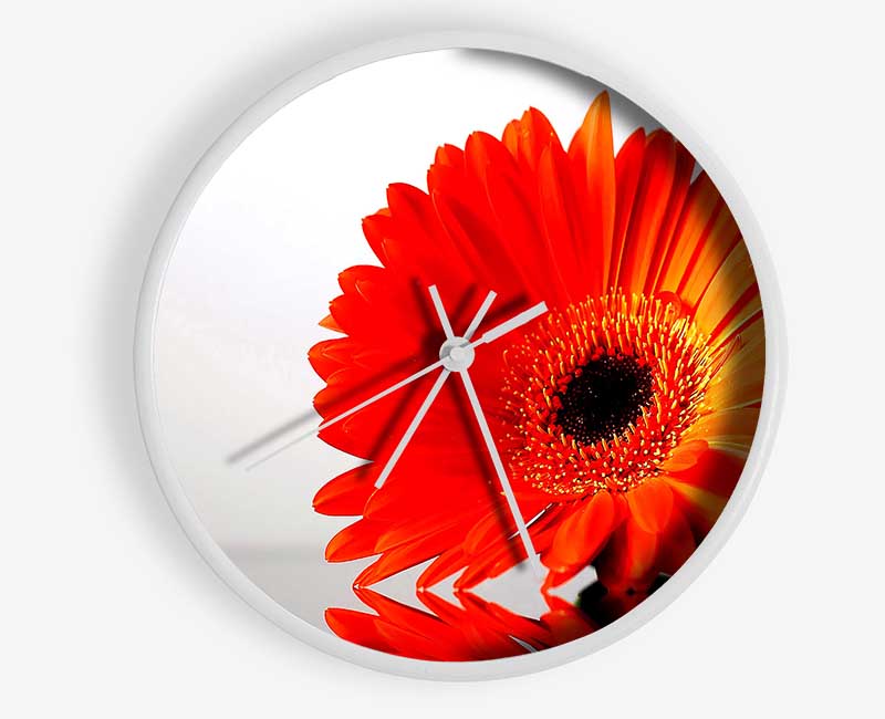 Gerbera Daisies Reflection Clock - Wallart-Direct UK