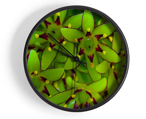 Eucomis Clock - Wallart-Direct UK